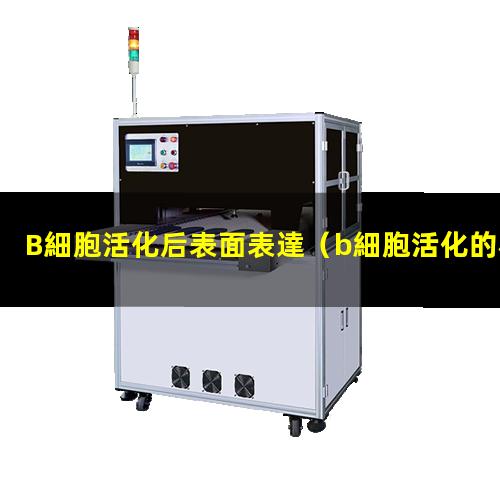 B細胞活化后表面表達