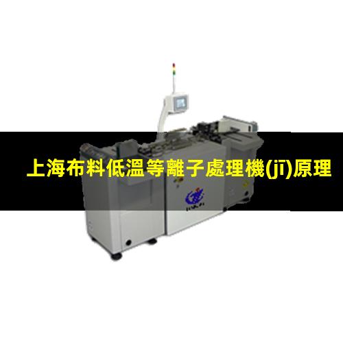 上海布料低溫等離子處理機(jī)原理