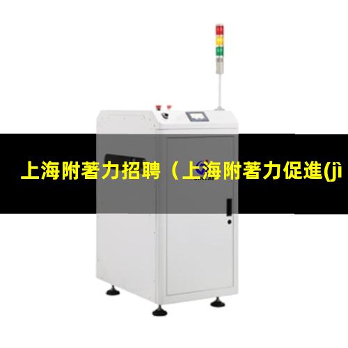 上海附著力招聘