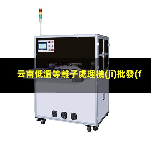 云南低溫等離子處理機(jī)批發(fā)