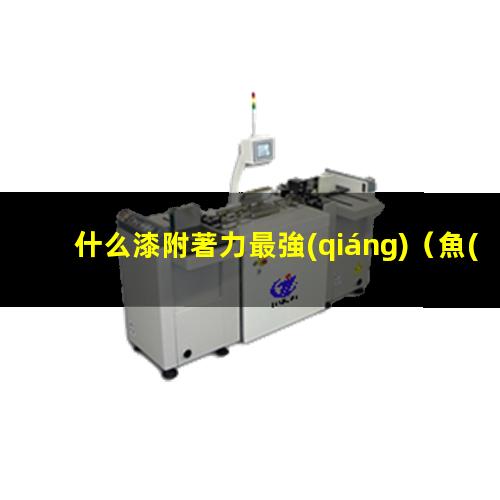 什么漆附著力最強(qiáng)