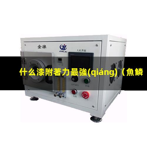 什么漆附著力最強(qiáng)