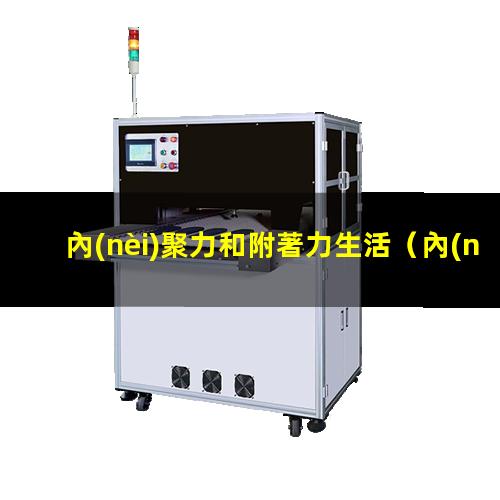 內(nèi)聚力和附著力生活