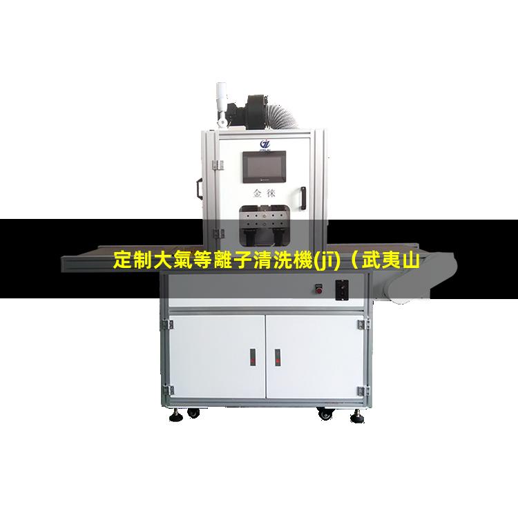 定制大氣等離子清洗機(jī)