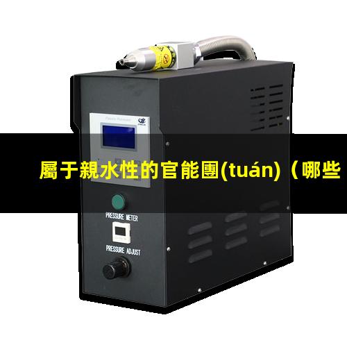 屬于親水性的官能團(tuán)