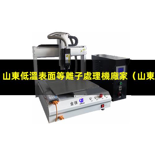 山東低溫表面等離子處理機廠家