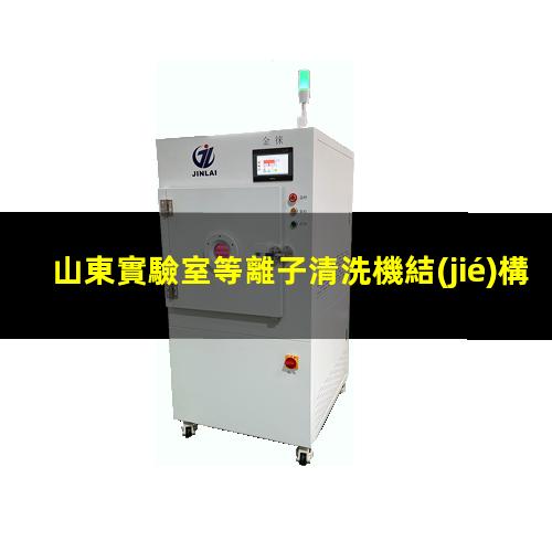山東實驗室等離子清洗機結(jié)構(gòu)