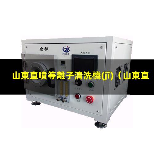 山東直噴等離子清洗機(jī)