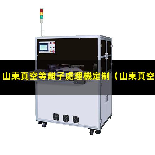 山東真空等離子處理機定制