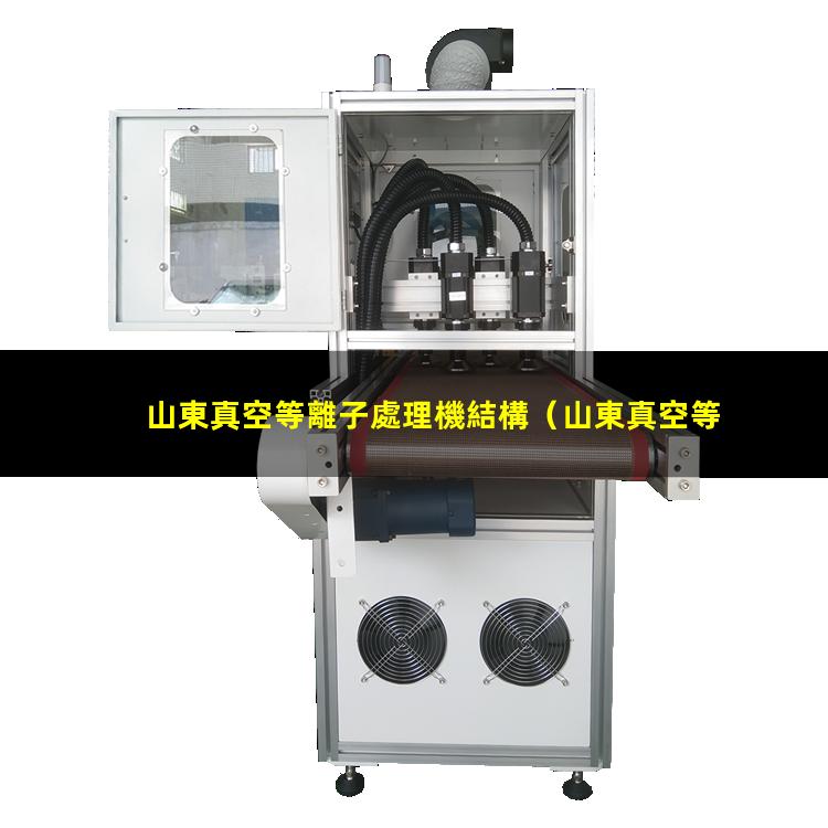 山東真空等離子處理機結構