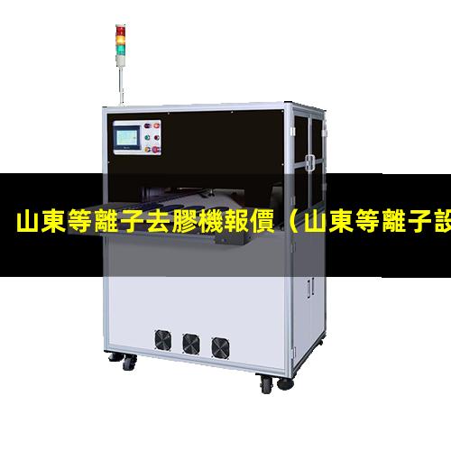 山東等離子去膠機報價
