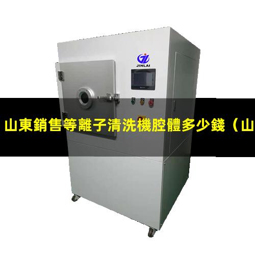 山東銷售等離子清洗機腔體多少錢
