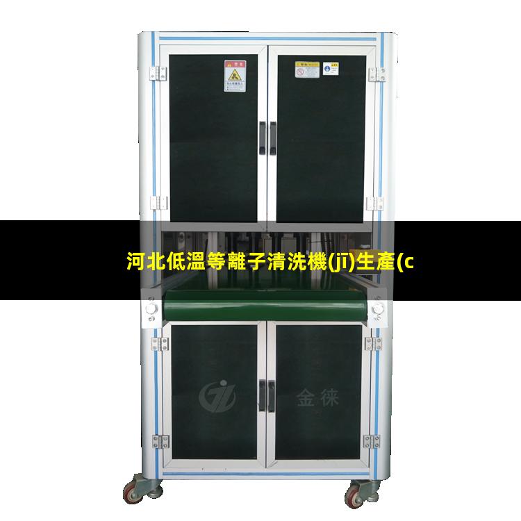 河北低溫等離子清洗機(jī)生產(chǎn)商