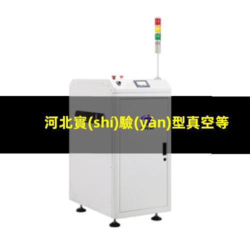 河北實(shí)驗(yàn)型真空等離子設(shè)備公司
