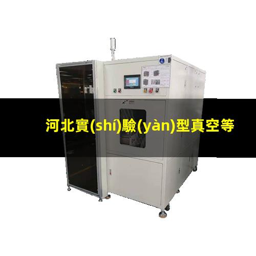河北實(shí)驗(yàn)型真空等離子設(shè)備廠