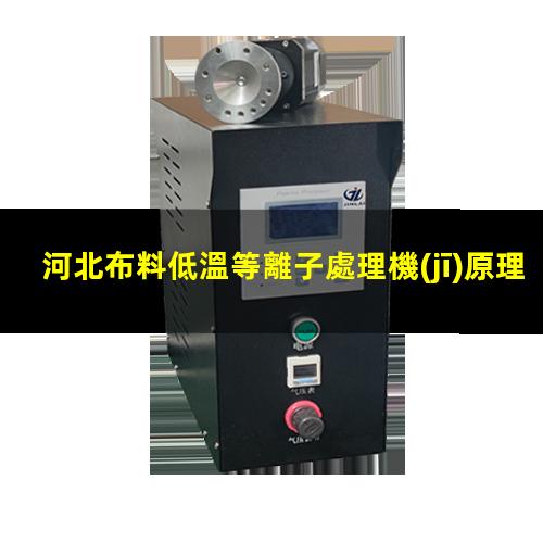 河北布料低溫等離子處理機(jī)原理