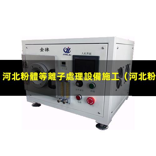 河北粉體等離子處理設備施工