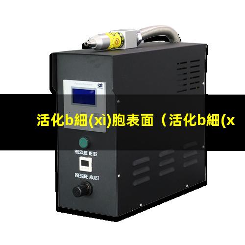 活化b細(xì)胞表面