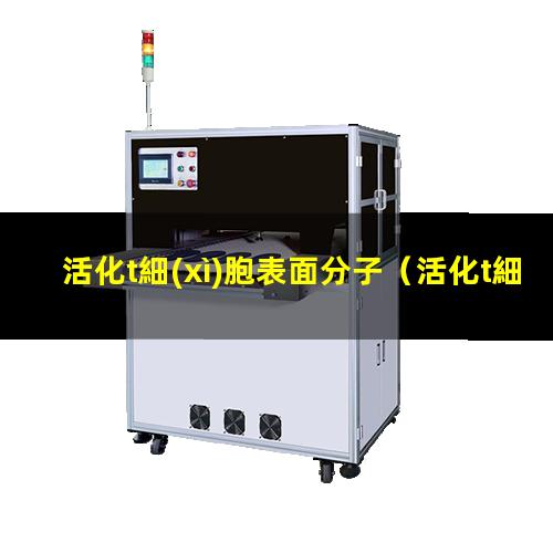 活化t細(xì)胞表面分子