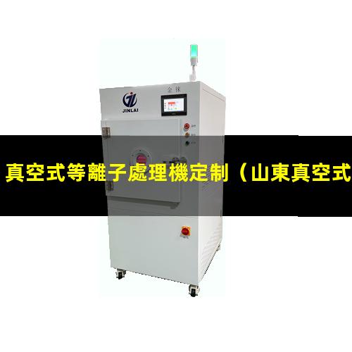 真空式等離子處理機定制