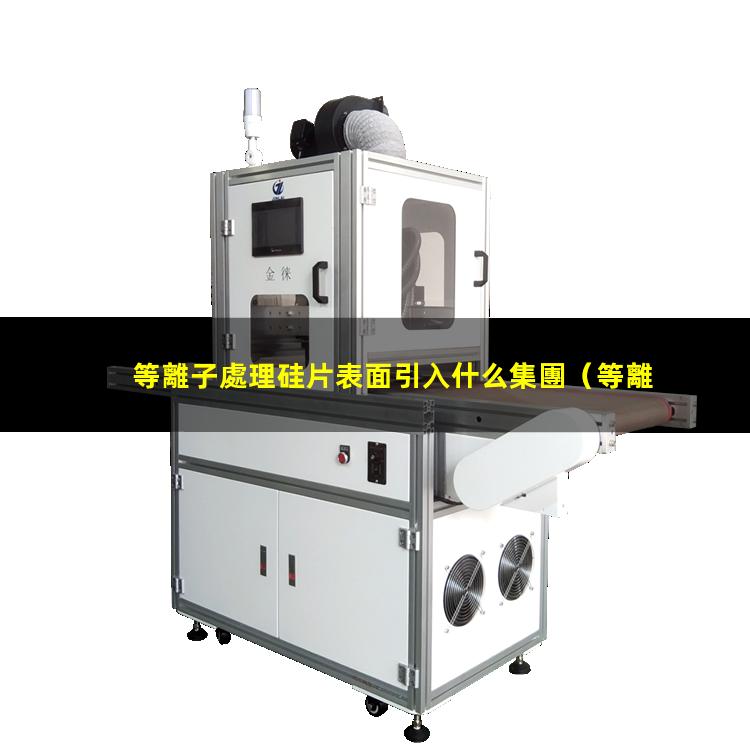 等離子處理硅片表面引入什么集團