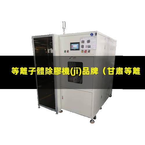 等離子體除膠機(jī)品牌