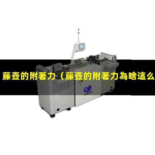 藤壺的附著力