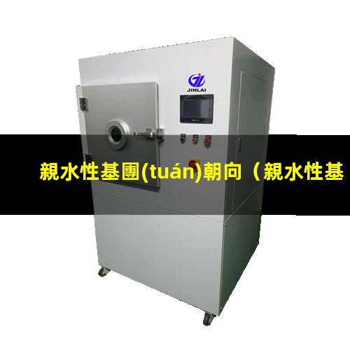 親水性基團(tuán)朝向