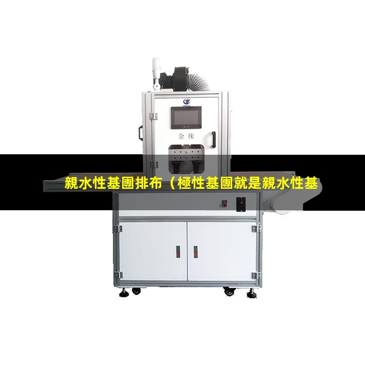 親水性基團排布