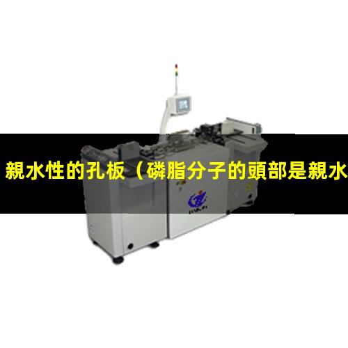 親水性的孔板