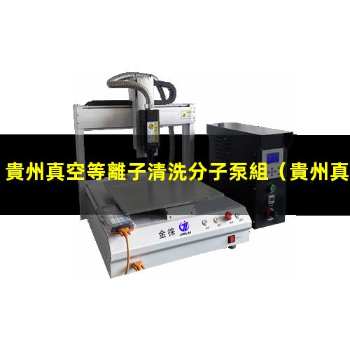 貴州真空等離子清洗分子泵組