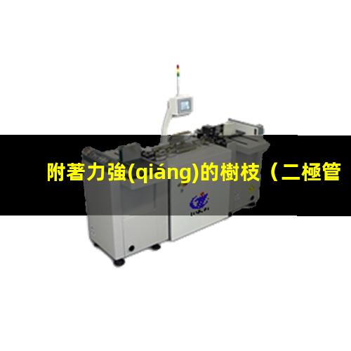 附著力強(qiáng)的樹枝