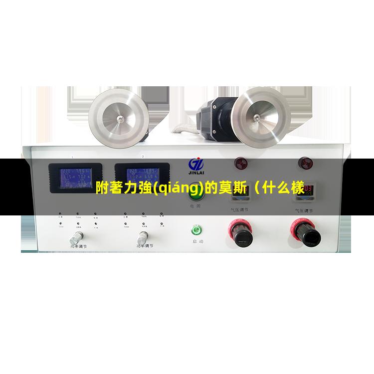 附著力強(qiáng)的莫斯