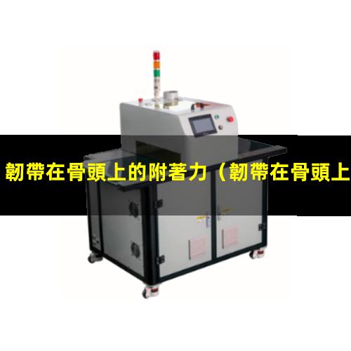 韌帶在骨頭上的附著力